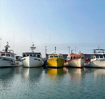iles2
