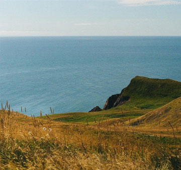 iles8