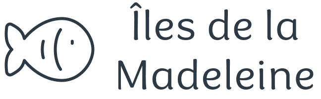 My Blog